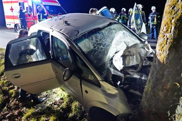 Opel kracht auf Landstraße frontal gegen Baum: Fahrer stirbt im Krankenhaus