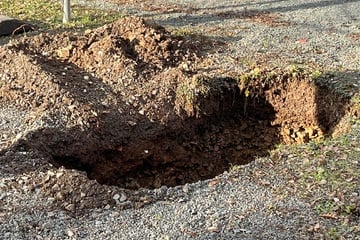 Erdloch im Stadtgebiet entdeckt: Menschen sollen den Bereich unbedingt meiden