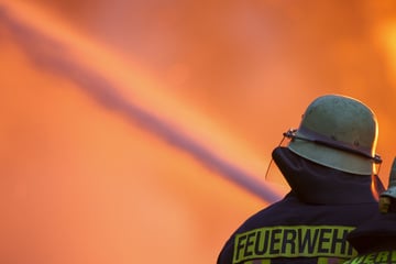 Feuerteufel am Werk? Laube im Magdeburger Zentrum fällt Flammen zum Opfer