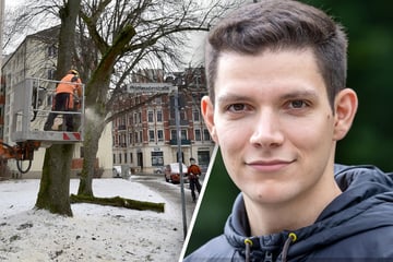 Chemnitz: Chemnitzer Grüne machen sich Sorgen ums Stadtgrün
