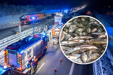 Unfall A1: Laster rutscht weg: Tausende Fische sterben auf Autobahn