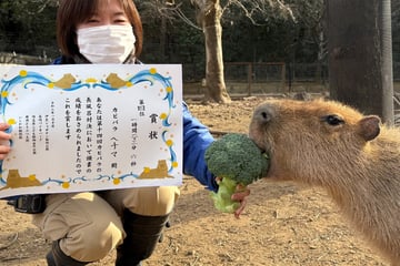 Ungewöhnlicher Wettbewerb: Diese Tiere treten in einer besonderen Disziplin an