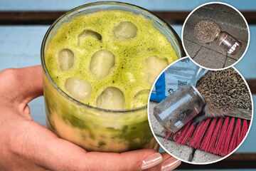 Matcha-Hype in Köln: Diese Becher werden zur Gefahr für Igel