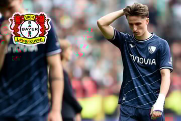Bayer 04 will diesen Bochum-Verteidiger: Das hat der 1. FC Köln damit zu tun