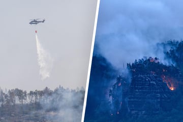 Forest fires in Saxon Switzerland and the Czech Republic: the fight against the fire continues