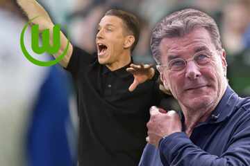 Hecking ist zurück! Früherer Erfolgsgarant soll die Wölfe retten