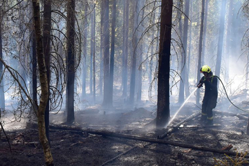 Feuerwehren aus Tschechien und Deutschland bei Waldbrand im Grenzgebiet im Einsatz