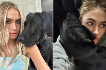 Alena Gerber kommt nach Job nach Hause: So süß reagiert Hund "Onyx"