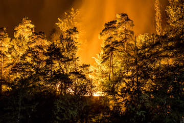 Millionenschaden in Böhmischer und Sächsischer Schweiz: Brandstifter war früher Parkranger