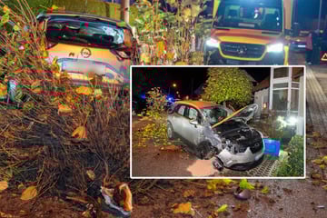 Spektakulär Crash: Opel hebt ab, reißt Ast ab und kracht durch Gartenzaun