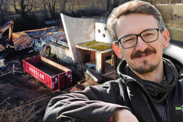 Hier entsteht die neue Stube für Zebras und Giraffen - doch etwas muss weichen