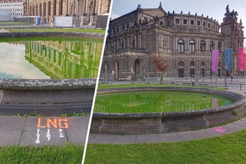 Dresden: Dresdner Brunnen leuchtet plötzlich giftig-grün: Wer steckt dahinter?