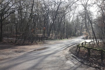 19-Jährige tot in Mannheim gefunden: Jugendlicher festgenommen