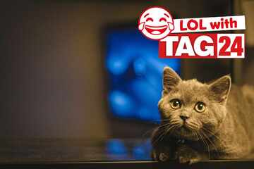 Joke of the Day for January 10, 2026: A cat funny for Caturday