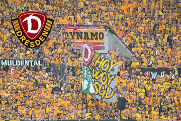 Dynamo-Dresden-Blog: Pokaltermin fix! Dann spielt die SGD gegen Mainz