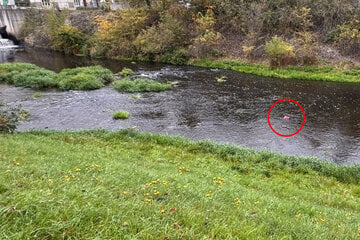 Feuerwehreinsatz in Sachsen: "Baby im Fluss entdeckt"