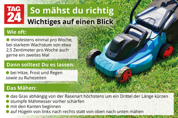 Rasen mähen Wie und wie oft? So geht's richtig