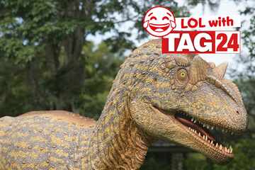 Joke of the Day for July 7, 2025: A quick joke to make you laugh