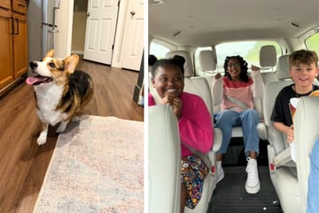 Mutter will ihre Kinder mit Hund überraschen, doch die Suche verläuft schwieriger als gedacht