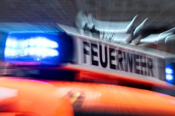 Zeugen hören Knistern und rufen Feuerwehr: Lagerhalle in Flammen