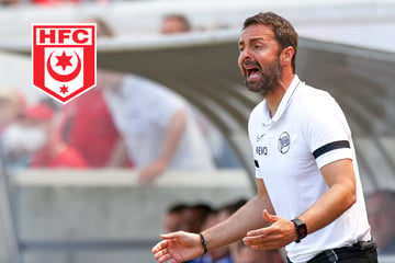 Hallescher FC verpflichtet Ex-Bundesliga-Stürmer als neuen Trainer