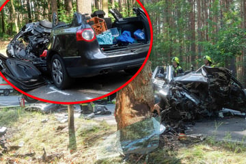 Tödlicher Unfall auf sächsischer Bundesstraße: VW-Fahrer prallt frontal gegen Baum