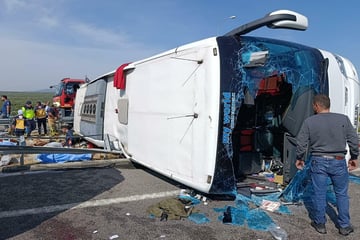Elf Tote und 27 Verletzte: Busfahrer verpasst Ausfahrt und begeht fatalen Fehler