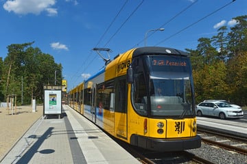 Dresden: Kanalbau unter der Straße: Königsbrücker wird enger