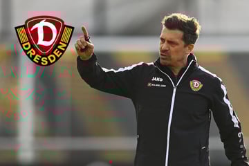 Keine Schnellschüsse! Was Dynamo anders macht als die Keller-Konkurrenz