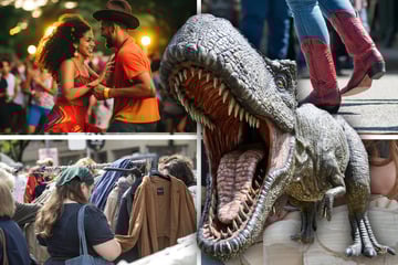 Noch keinen Plan für Euren Sonntag? Das könnt Ihr in Magdeburg erleben