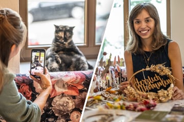 Meow! Crafts are now being done in the cat café