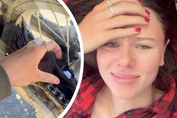 Pannen auf Reise nur gestellt? Follower stellen Glaubwürdigkeit von "Affe auf Bike" infrage