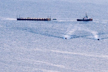 "Timmy" auf großer Reise! Experten warnen: "Tier dürfte kaum überleben"