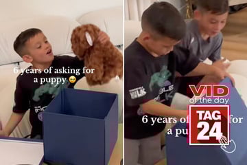 Viral Video of the Day for November 7, 2025: Boy cries tears of joy after getting his dream puppy!