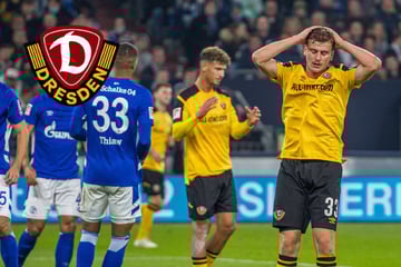 Dynamo-Dresden-Blog: An diesem Tag spielt die SGD gegen den FC Schalke 04