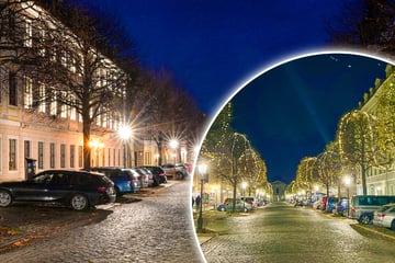 Dresden: Großer Lichtel-Ärger im Barockviertel: Keine Adventsbeleuchtung an den Bäumen