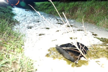 Lastwagen kippt um und vergießt Tausende Liter Milch