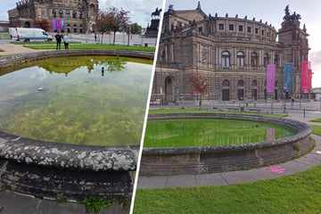 Dresden: Dresdner Brunnen leuchtet plötzlich giftig-grün: Wer steckt dahinter?