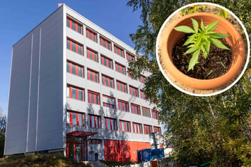 Chemnitz: Genehmigung da! Erster Cannabis-Club in Chemnitz darf starten