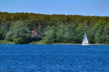 Badesaison in Brandenburg gestartet: Wasserqualität in Seen "ausgezeichnet"