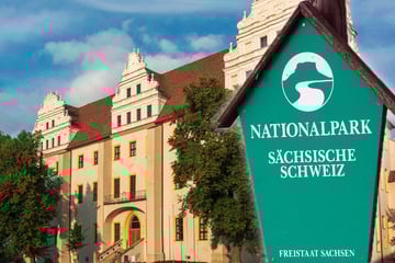 Sächsische Schweiz vor Gericht: Rechtestreit im Nationalpark