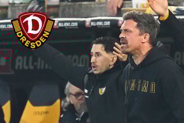 Dynamo-Coach Stamm bleibt optimistisch: "Überzeugt, dass wir unsere Punkte holen"