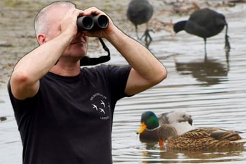 Leipzig: Alljährliches Drama in Leipzig: Retter müssen zahlreiche Tiere einfangen