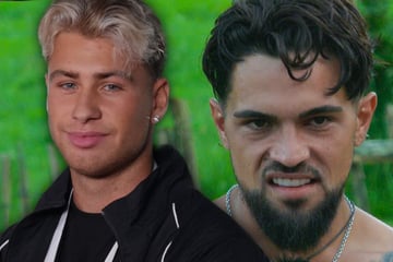Daymian Weiß hat keine Lust auf Box-Kampf gegen Alex Molz: "Lachnummer"