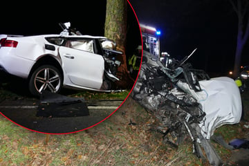 Massive Zerstörung nach schwerem Crash: Autofahrer rast gegen Baum - Schwer verletzt