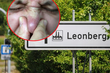 Stadt wird seit sieben Jahren von rätselhaftem Ekel-Gestank heimgesucht: "kein Lüften möglich"