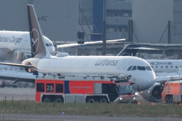 Kollision kurz nach Abflug: Lufthansa-Maschine muss zum Flughafen zurückkehren