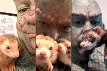 Heavily tattooed lizard man shares adorable furry friendship with ferrets