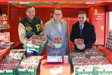 "Karls" testet diese besondere Attraktion: "So was gab es noch nie!"