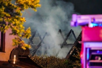 Feuer-Drama: Stall mit Tieren brennt lichterloh
